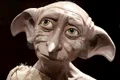 Dobby/sursă foto: profimedia