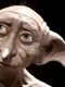Dobby/sursă foto: profimedia