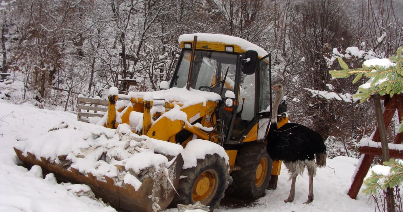 Escavator lasat in custodie (foto arhiva)