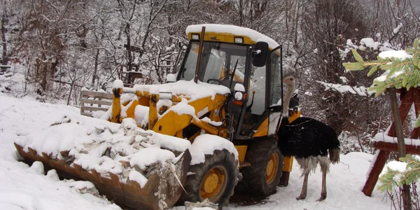 Escavator lasat in custodie (foto arhiva)