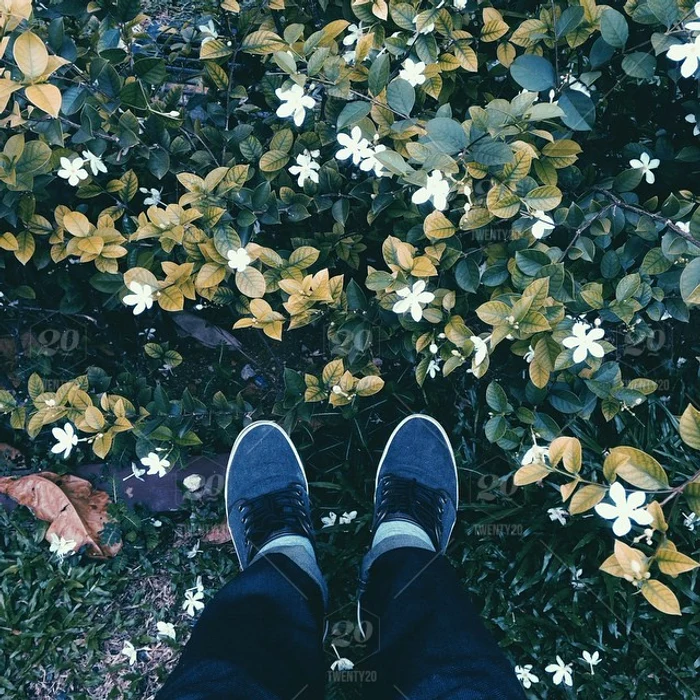 1 82025 original jpg jpeg