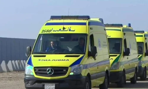 Masini cetateni evacuati Gaza FOTO Twitter X jpg
