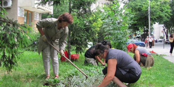 Angajatele Seroplant se ocupă de florile din zona Piaţa Independenţei