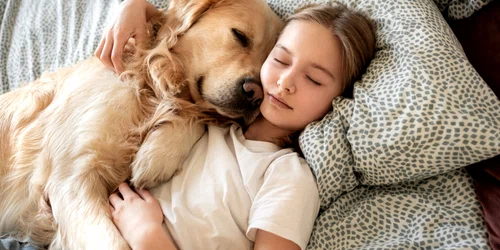 Copil care doarme cu un câine în pat FOTO Shutterstock