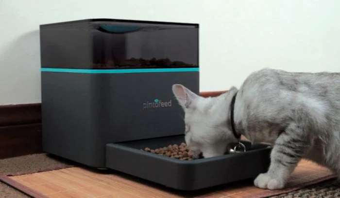 Pintofeed se conectează la Internet prin WiFi şi poate stoca până la 4,5 kilograme de hrană.