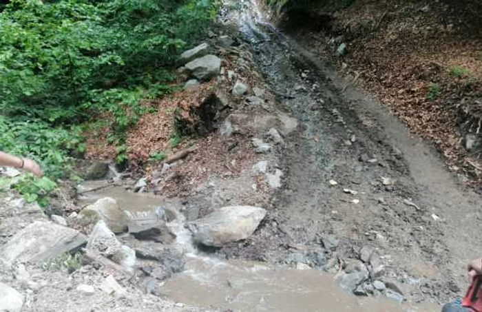 Drumul forestier a fost distrus de utilajele de mare tonaj