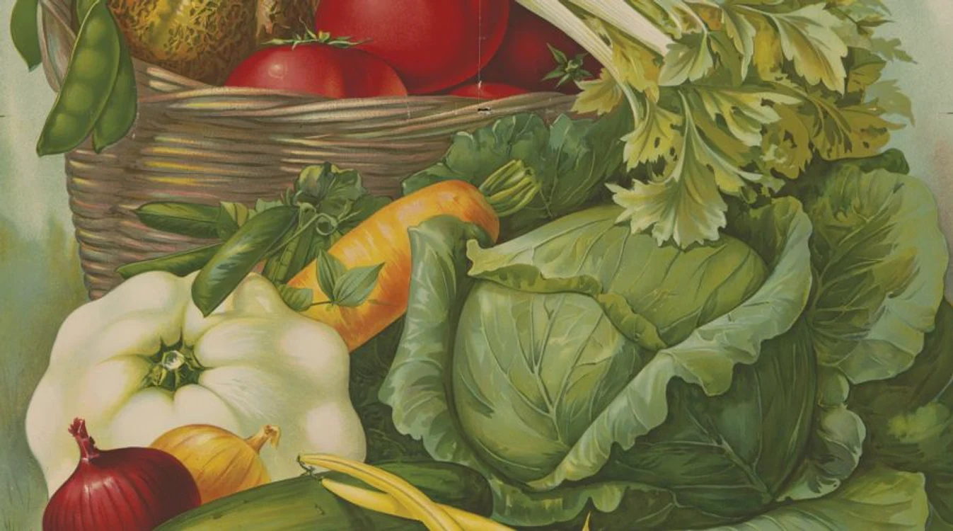 Alimentația bio/eco/organică – adevăr sau provocare? jpeg