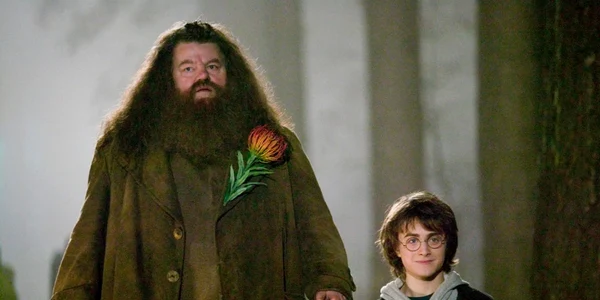 harry potter film robbie coltrane si daniel radcliffe