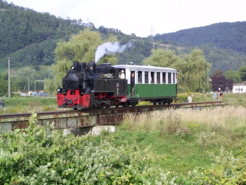 Mocănița Brad - Criscior  FOTO Mocănițele apusene