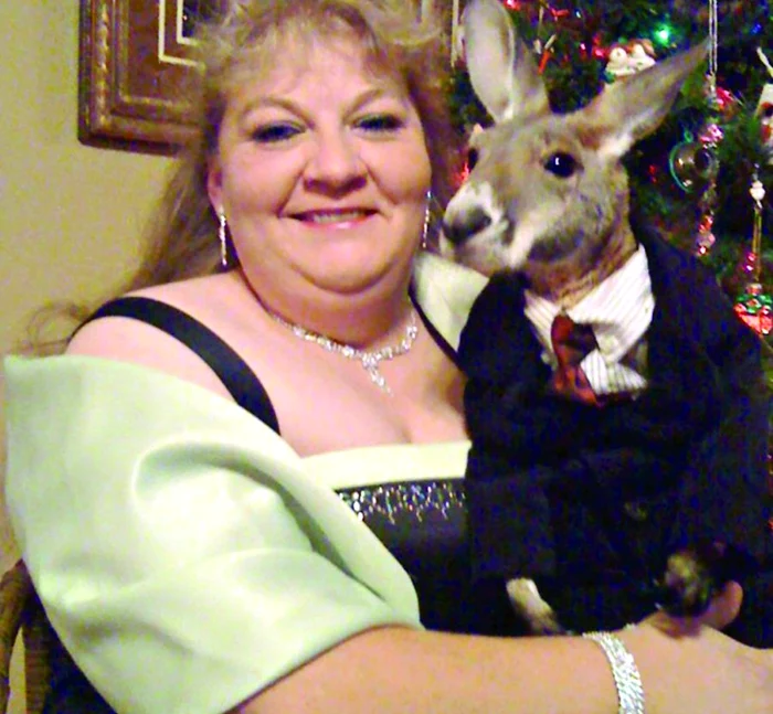 Christie îl îmbracă pe Irwin ca pe propriul copil (fotografii: guliver/splashnews)