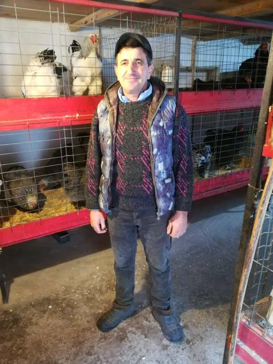 ccvvb