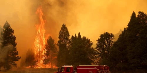 oak fire incendiu padure california 23 iulie 2022 foto epa efe