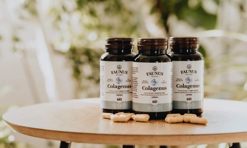colagen Faunus jpeg
