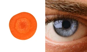 1 63993 original jpg jpeg