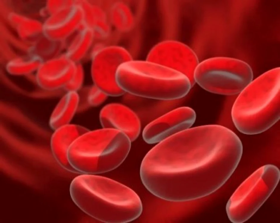 1 2 jpg jpeg