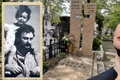 banner oana pellea jpg