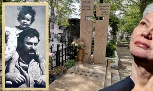 banner oana pellea jpg