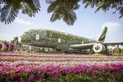 miracle garden dubai jpg jpeg