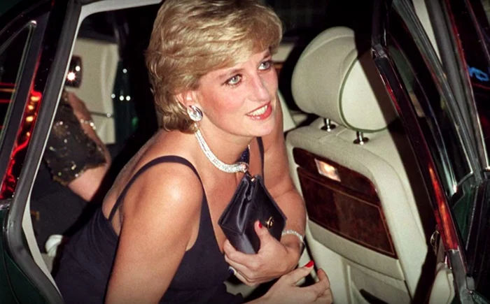 lady diana geanta jpg jpeg