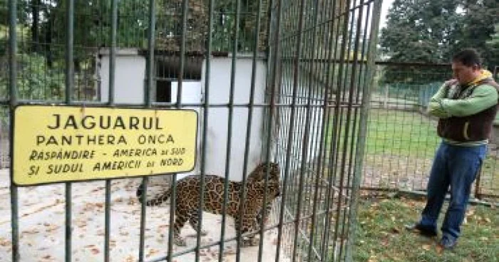 Craiova: De ziua animalelor, porţile de la Zoo au stat deschise