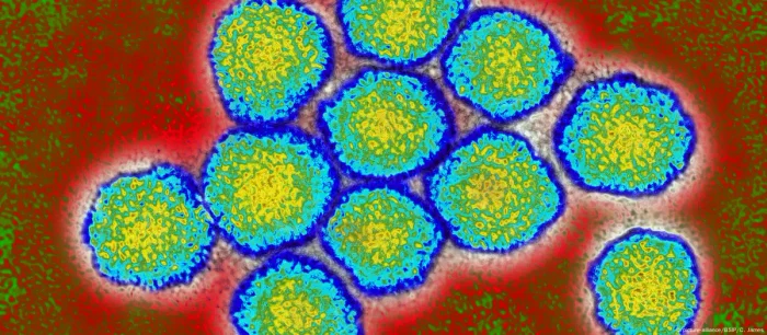 Virusul Hepatitei C la microscop