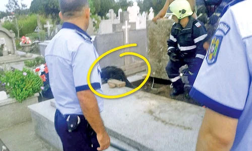 Căţelul a fugit imediat ce a fost eliberat jpeg
