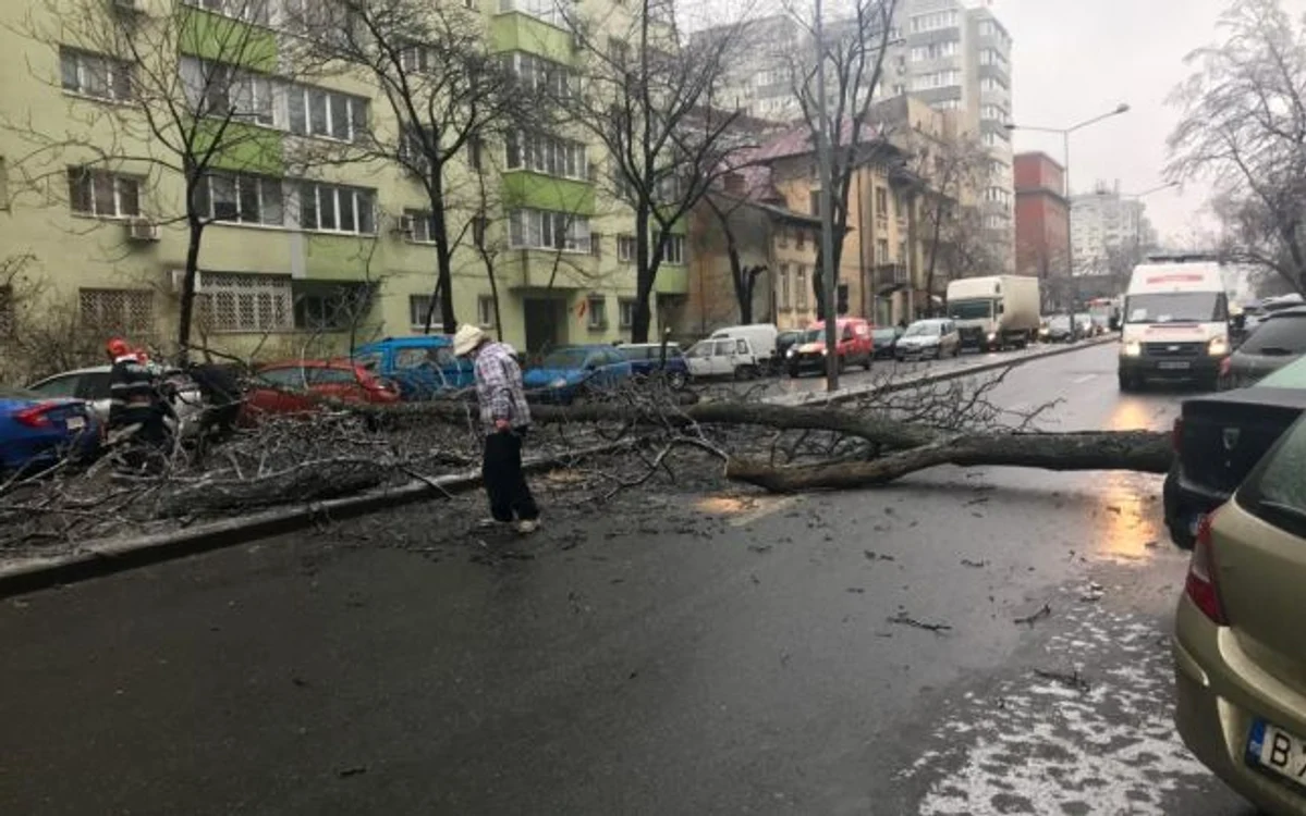 FOTO ISU