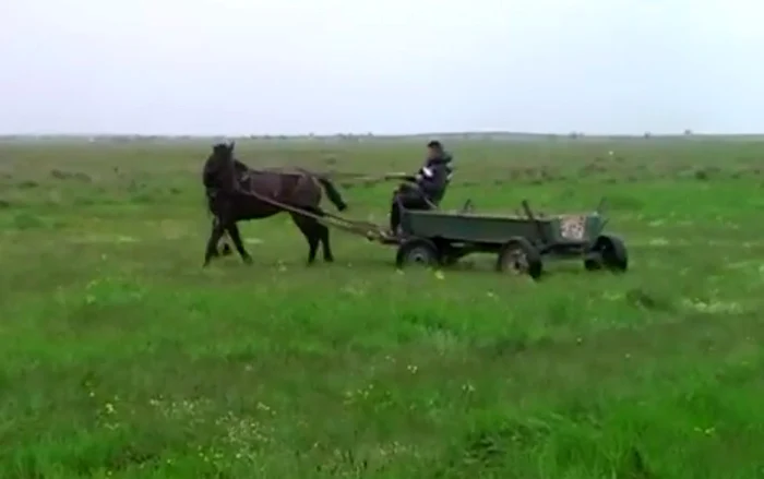 Căruţaşii au plecat de pe un câmp de la marginea comunei