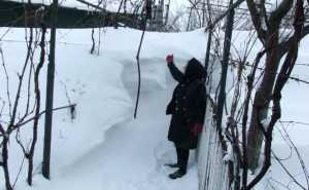 Zăpada are trei metri, la Scutelnici