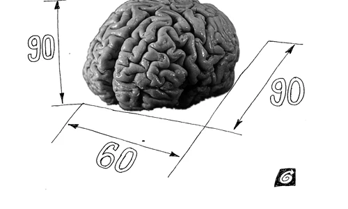 Promisiunile proporțiilor jpeg