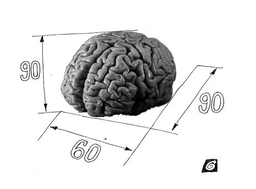 Promisiunile proporțiilor jpeg