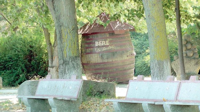 Ce nu au distrus ploile, au furat localnicii