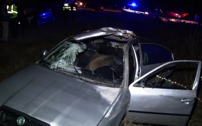 Mistrețul l-a rănit foarte grav pe șofer