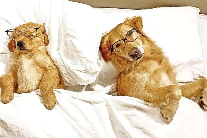 Pe bune, zici că ai tocit toată ziua? Eu am băut până s-a închis barul...