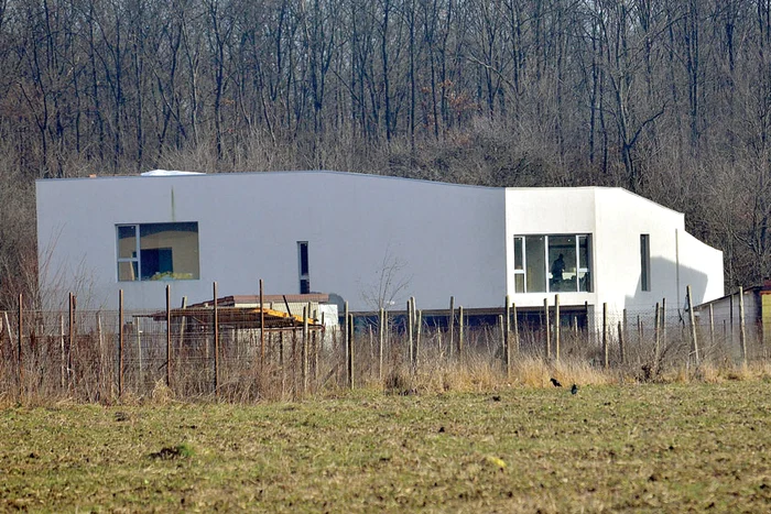 Muncitorii mişună de zor la casa din Cernica, pe care juratul de la «Vocea României» se chinuie să o dea gata de aproape 6 aniFoto: Mihai Caliu