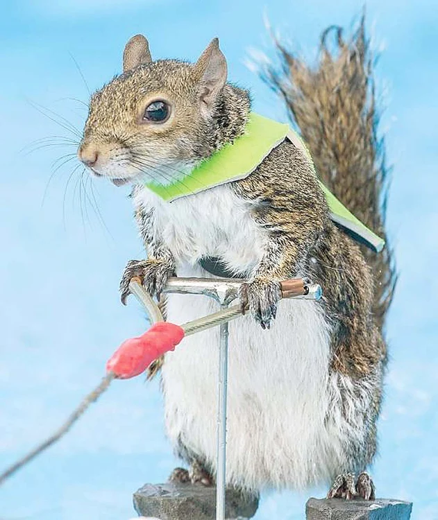 
    Foto: Guliver, Rexfeatures  