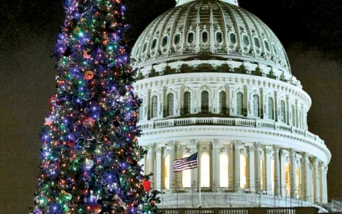 Pomul de iarnă din Washington (Statele Unite ale Americii). În plan secund, celebra clădire a Capitoliului