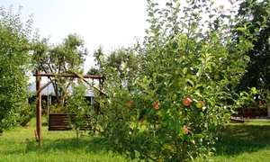 livada inverzita jpeg