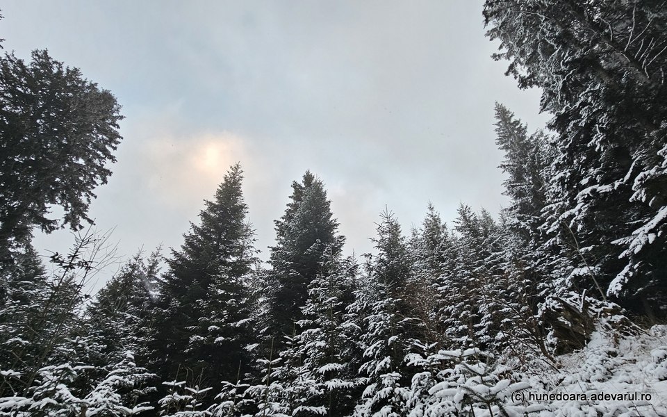 Efectul schimbărilor climatice asupra Retezatului. Cum se transformă ținutul glaciar al României VIDEO