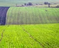 Fotografiile care au transformat Bucovina în Toscana. FOTO Cătălin Urdoi