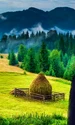 Atractii turistice langa Suceava Bucovina pentru familii cu copii logo webp