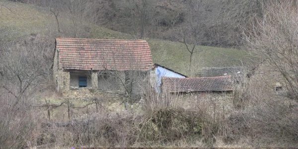 Casele din piatră sunt unice în judeţul Alba
