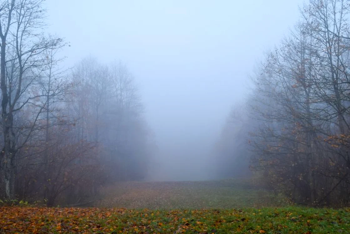 
    Avertizările sunt valabile până la ora 10:00.foto: Shutterstock  