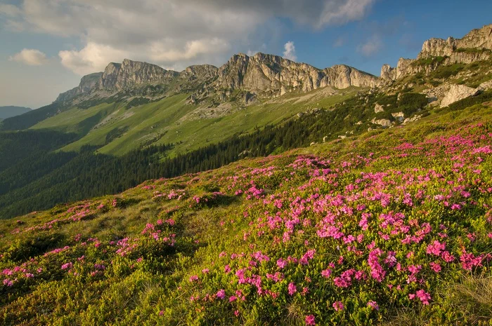 Munții Bucegi. FOTO România Sălbatică