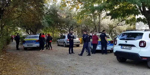 WhatsApp Video 2022 10 31 at 12 40 55 mp4 thumbnail png