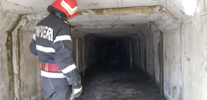 Tunelul minier din Berbeşti - Vâlcea în care a rămas captiv un miel căzut printre dalele de beton şi salvat de pompieri Foto Adevărul