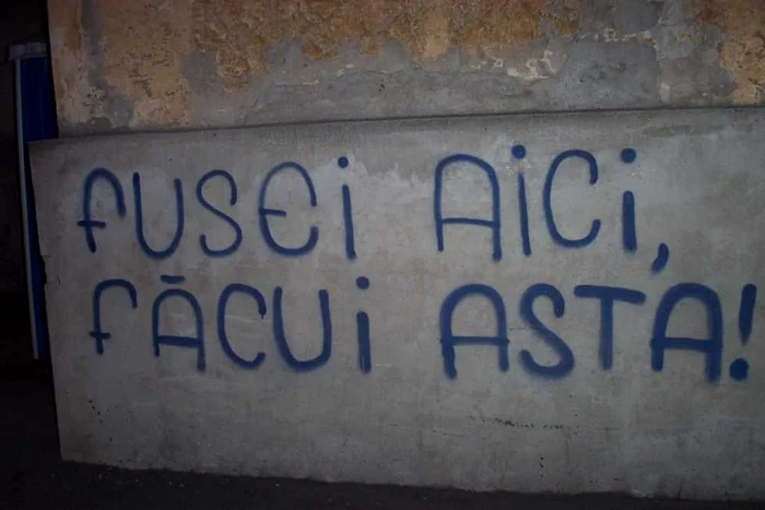 Olteni pe Google