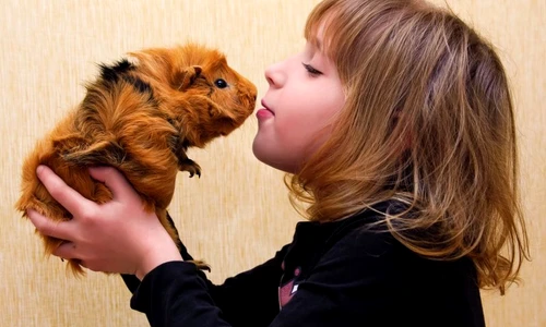 1 56040 original jpg jpeg