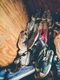 1 clickpentrufemei pantofar jakob owens np nvruhpuo unsplash jpg jpeg