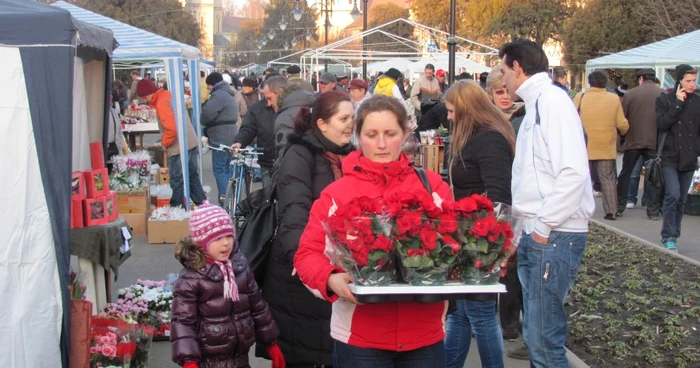 Peste 300 de mii de plante ornamentale au fost plantate în Târgu-Mureş anul trecut